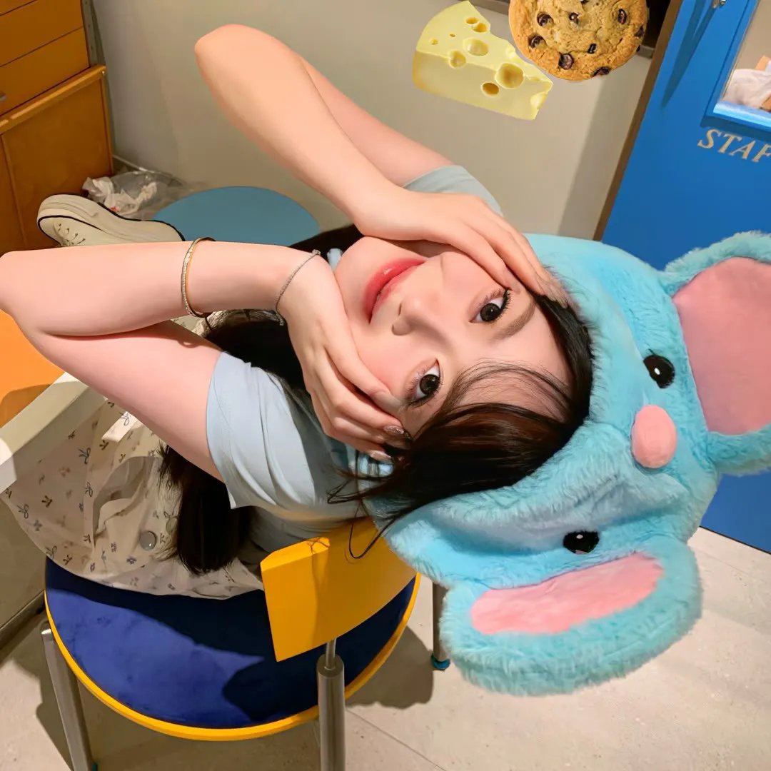 拳影人生